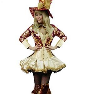 Mad Hatter Alice in Wonderland Costume Fancy Dress